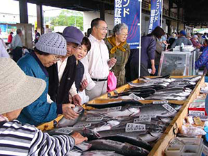 海峡サーモン直売