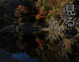 見る