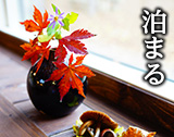 泊まる