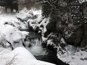 雪の薬研渓流