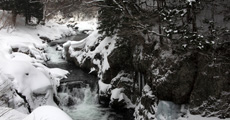 雪